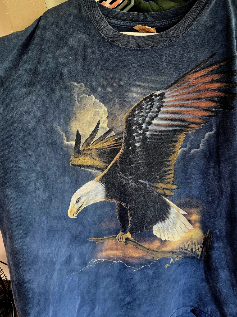 The Mountain graphic tee featuring a large bald eagle and American flag.